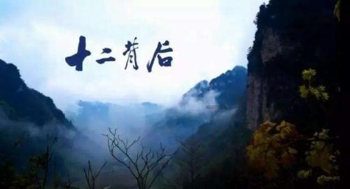 世界上最大的海龟有多大 详细